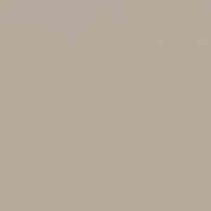 Линолеум FORBO Sarlon Colour 15dB 863T4315 beige grey uni фото ##numphoto## | FLOORDEALER